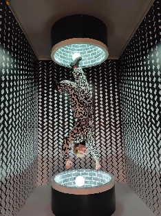 Infinity mirror booth